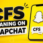 CFS Meaning