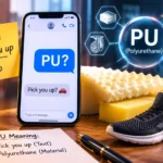 PU Meaning