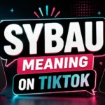 SYBAU Meaning