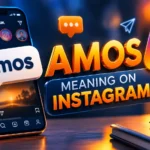 AMOS Meaning