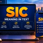 SIC Meaning