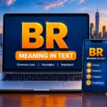 BR Meaning