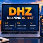 DHZ Meaning