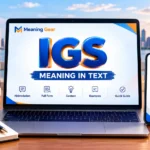 IGS Meaning