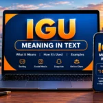 IGU Meaning