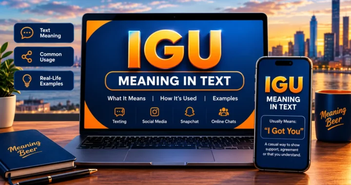 IGU Meaning