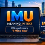 IMU Meaning