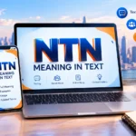NTN Meaning