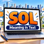 SOL Meaning