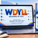 WDYLL Meaning
