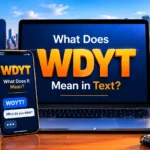 WDYT Meaning